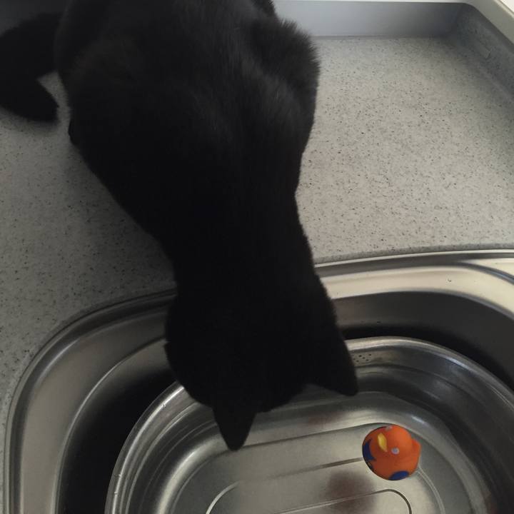 1c02f603 1b75 4119 a2a1 8b17f94ec604