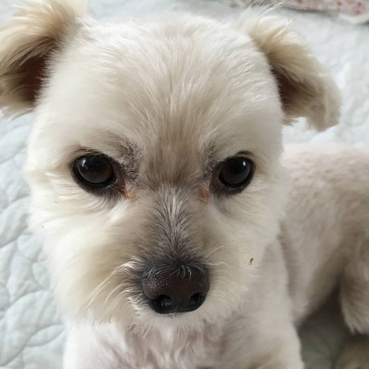 1c036a86 5a18 4658 b1c2 44785719106a