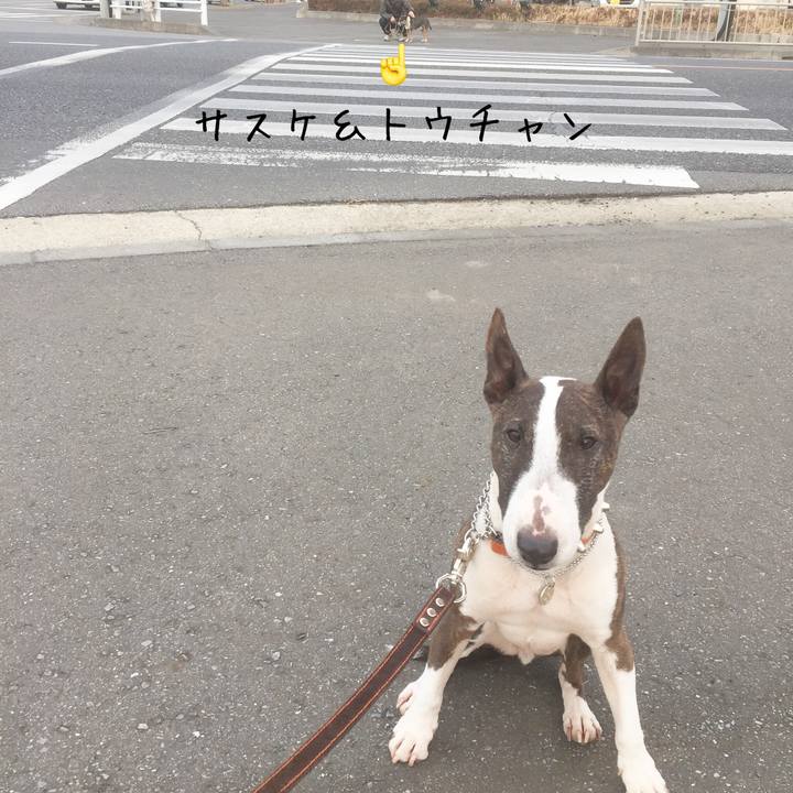 1c03fd9b 1a6f 4f41 86e9 0dfa13650fb1