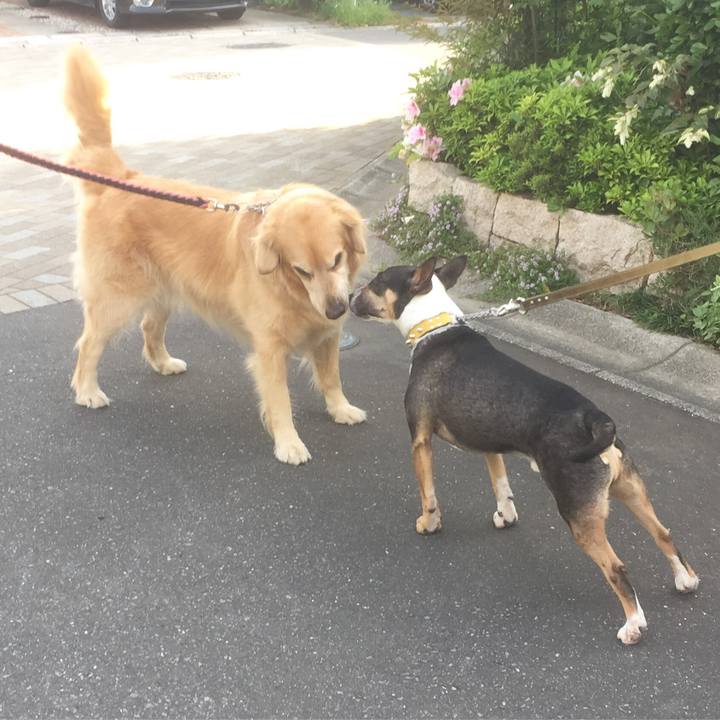 1c041385 c5ac 4ec5 b1b2 d46846925e72