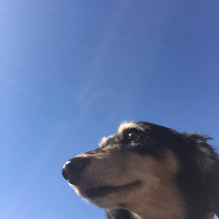 1c043521 3d1b 46f8 a45e efd373374db2