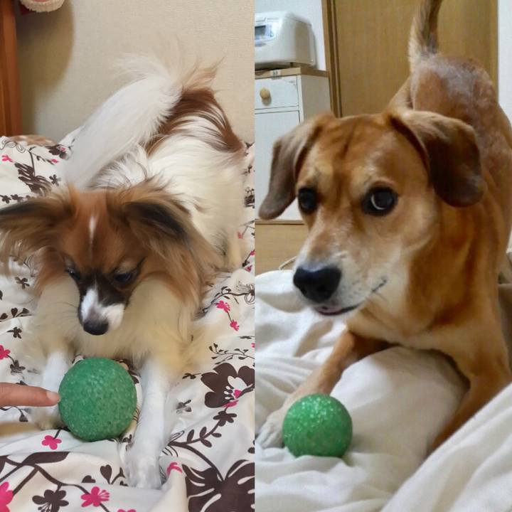 1c047c07 1b2d 449f b0dc 638530e93e91