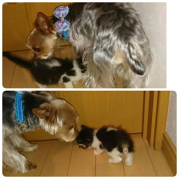 1c0539f8 8518 430a baba ac3b9dc678a3