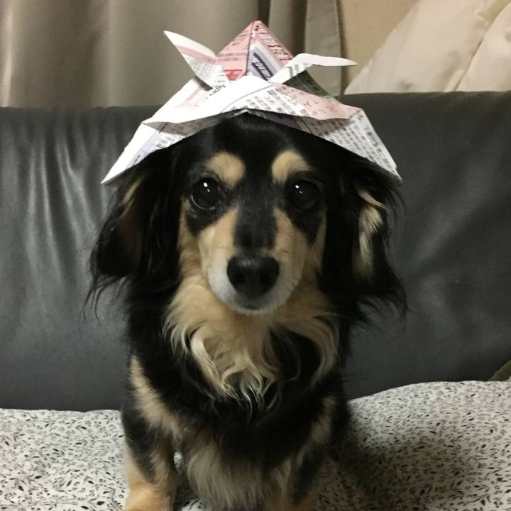 1c05e4a4 710c 4b1a abad 58f2e8bd74f1