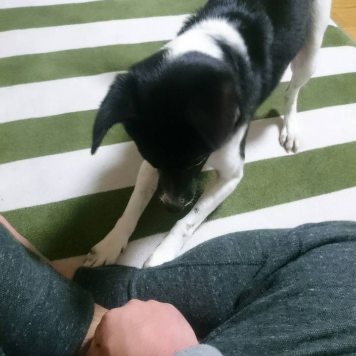 1c0636e4 04e0 40e2 a68d 0ea634ec722c