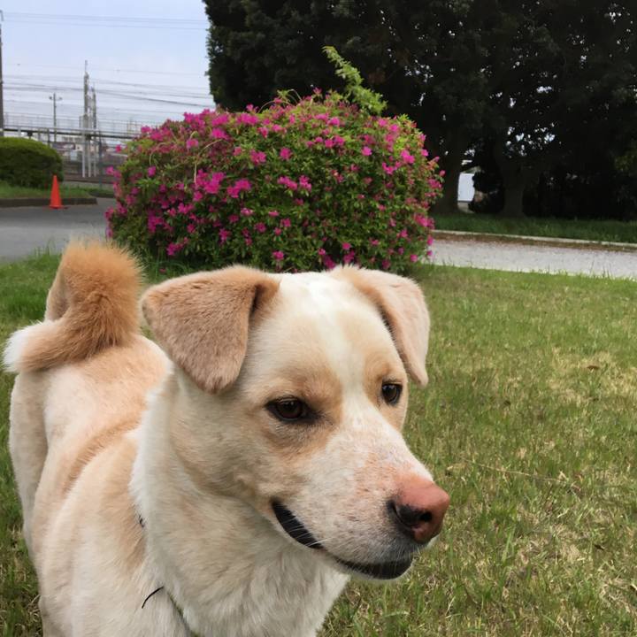 1c065884 e65e 4577 a9e5 b703bf19cea4