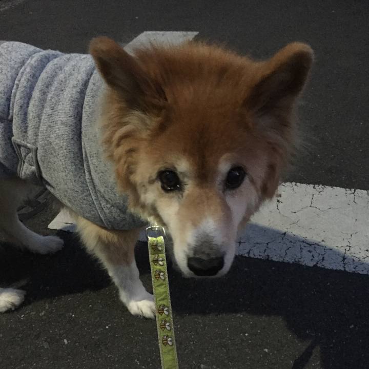 1c069425 4989 4abe 8426 7d0a8366d2c4