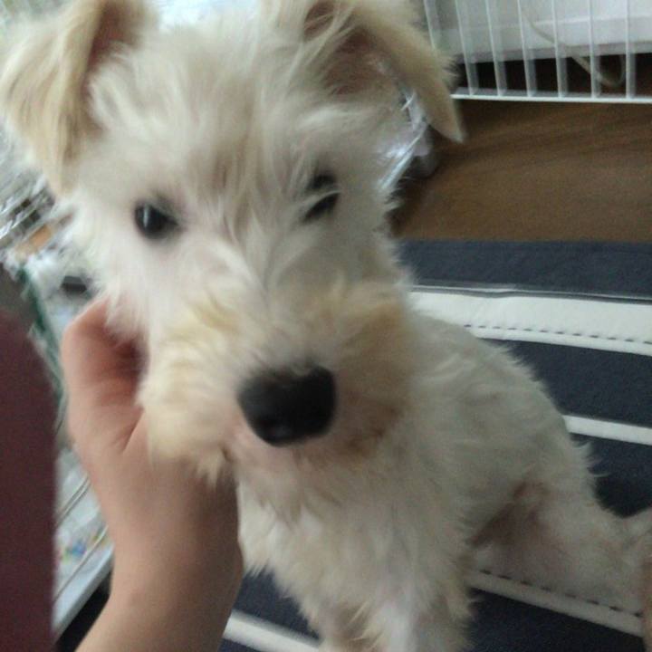 1c06eae6 8bc5 4f37 8ea9 215f0c1c8cf3