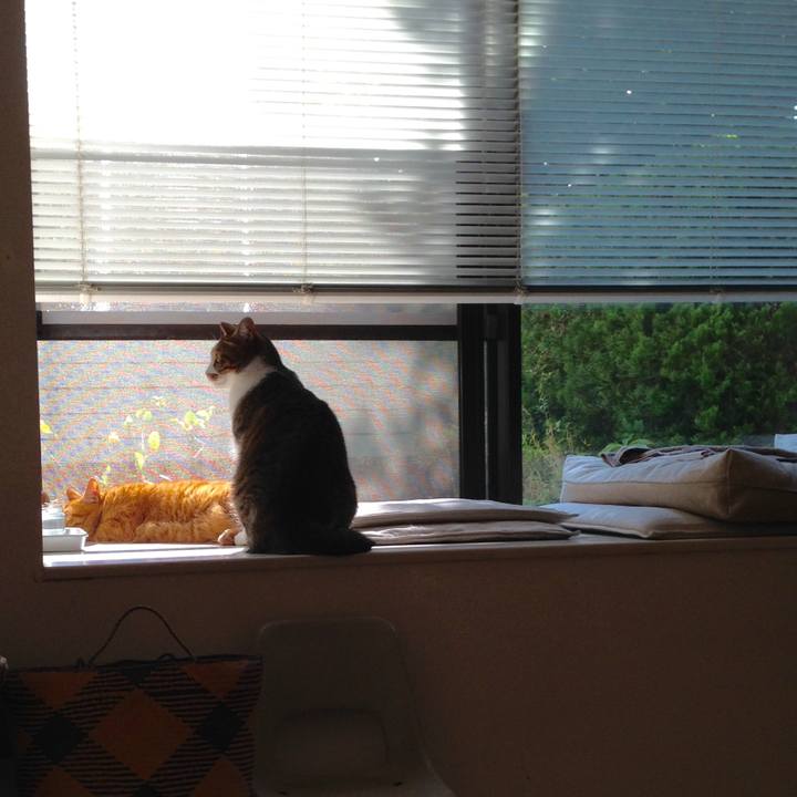 1c06f4d8 1175 48d7 985d 722532c799a0