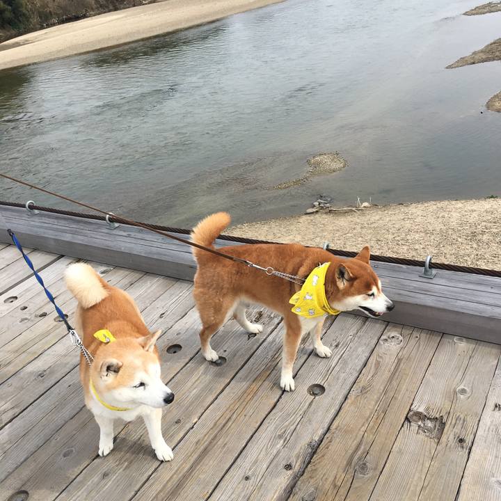 1c071bb8 aaf5 49c2 b85e bced93dcea63