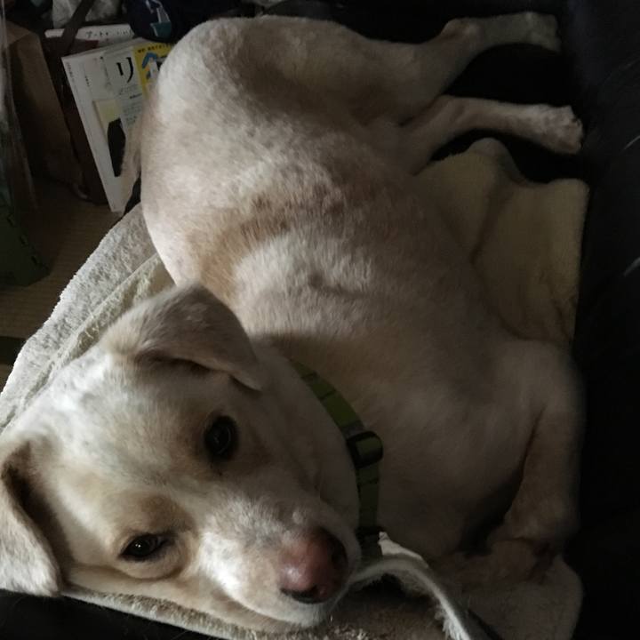 1c08670e 4ee2 4d50 8316 2453009b6764