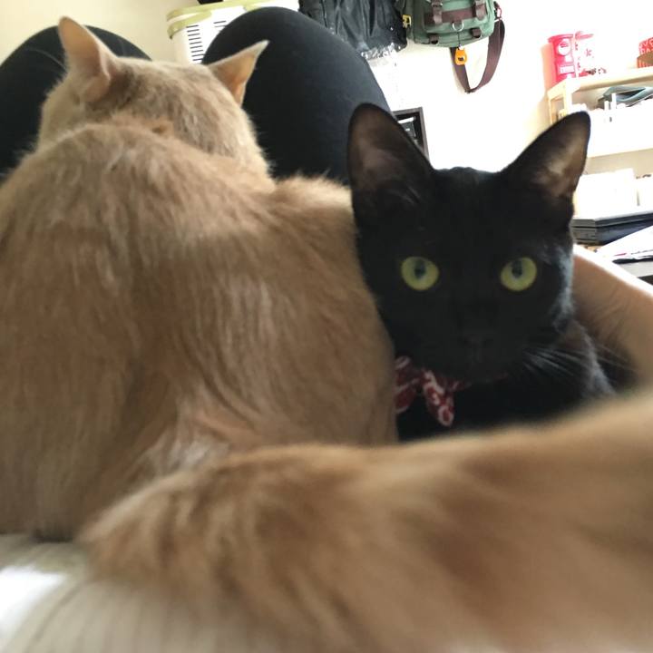 1c08dbad 0e5d 4740 ac22 525a30809db8