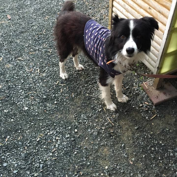 1c0a94d4 14c2 4b14 b8cd 355d68889c6d