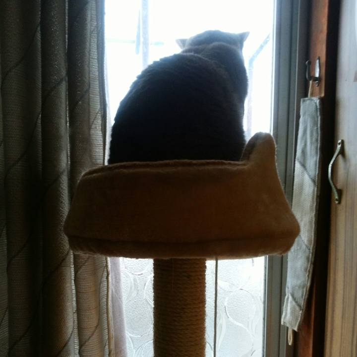 1c0ac578 80a5 4a1e 9269 0a43e0d1cd9e