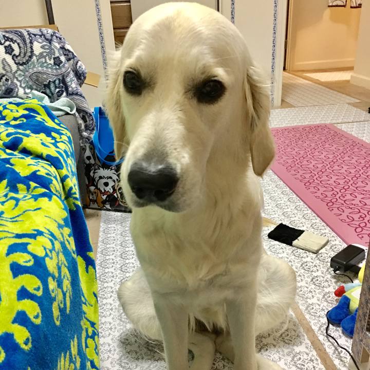 1c0b322c 81db 481d a7ca da607cfef1cf