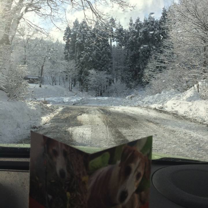 1c0b81f1 18fc 4f5a 9890 905171e6fe1c