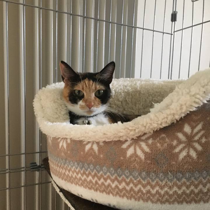 1c0bb640 0b6f 4bd8 83e2 c9fa1a4ca0c5