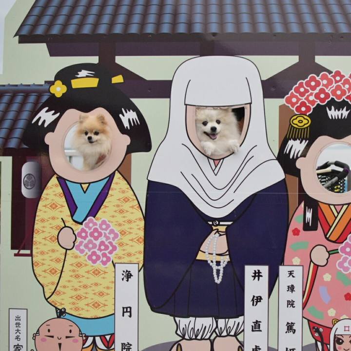 1c0bb683 fd4d 4d92 be1b 9aaa49c2ea5d