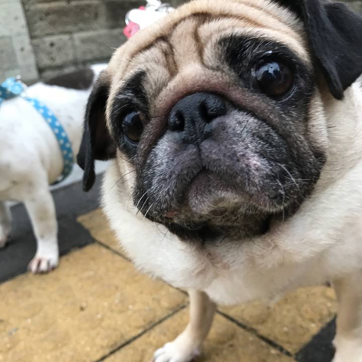 1c0c5a86 812f 4d73 8685 c2e34920d478