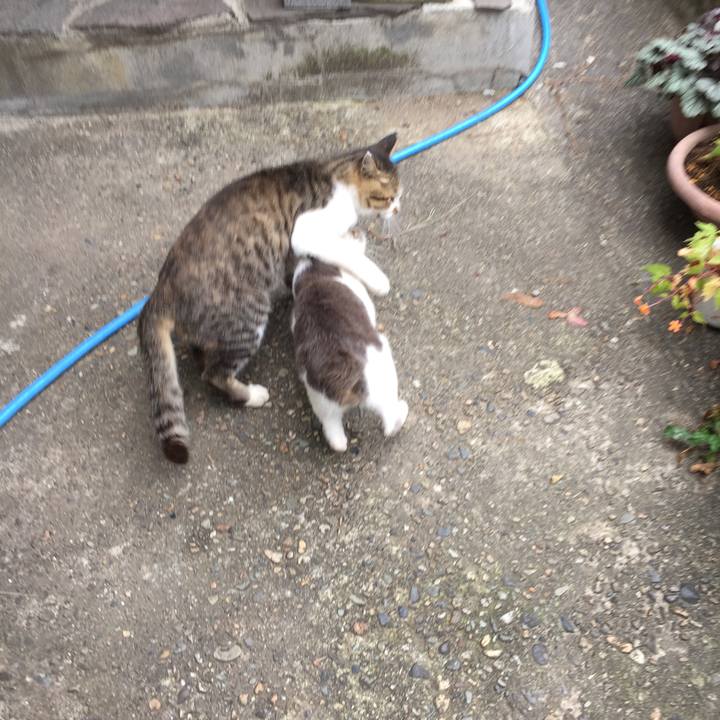 1c0c73b9 73a8 4adf 8120 5f95502c0466