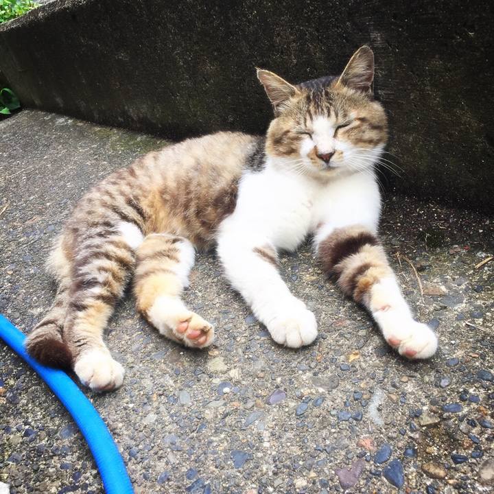 1c0d6c6c 82df 47b4 ae69 51c5ae6d478d