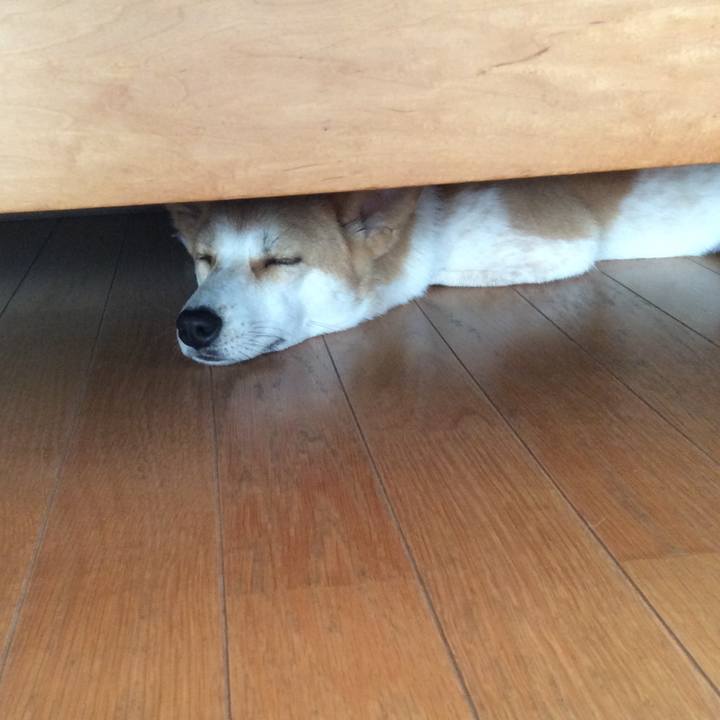 1c0e6c42 c9a4 497f 8c7a 4146459ca994