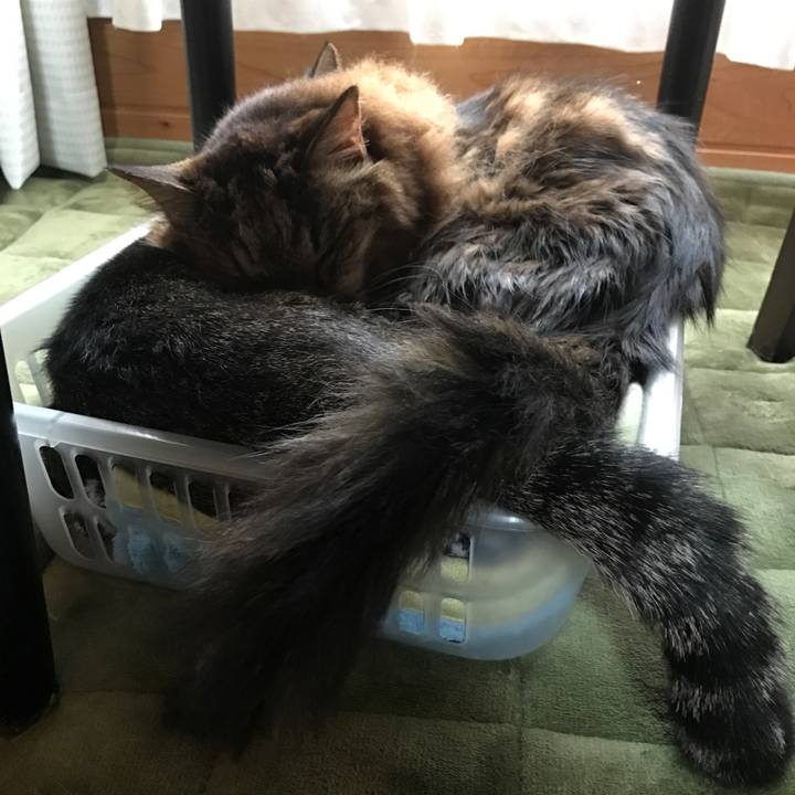 1c0f3372 d214 4a95 b6fe bdbdb4719ce4