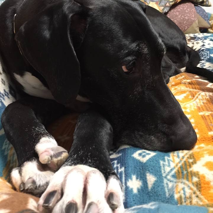 1c0fdfd0 ccc8 4c6e 80fe 560fde915a71