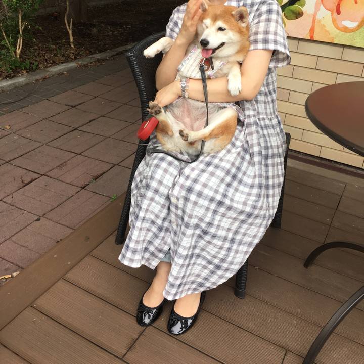 1c11486b 9534 4c5c 8370 4ed748b4fbe8