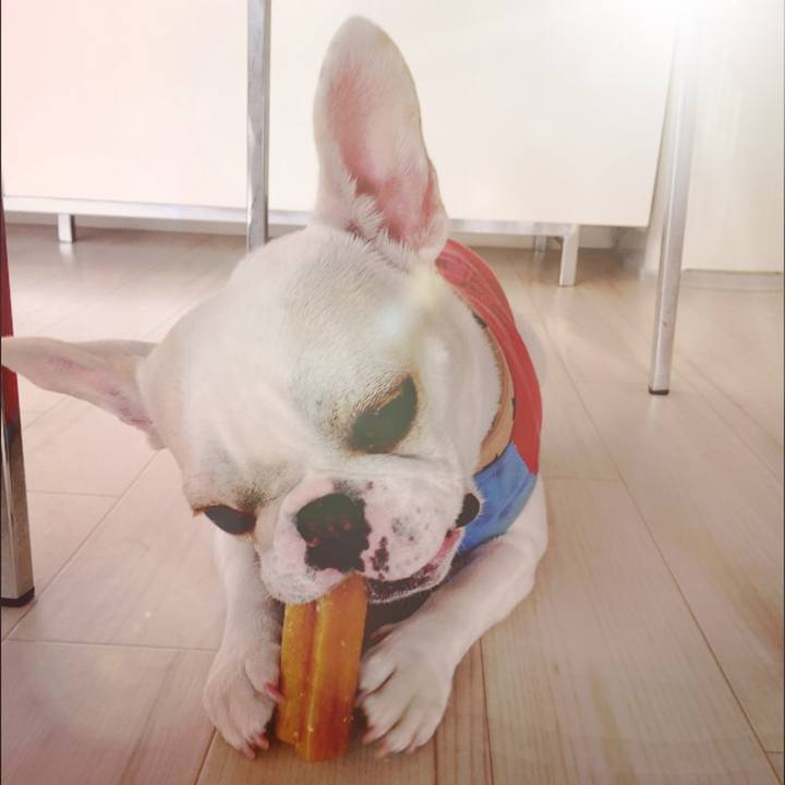 1c1170ac e1ae 4caa 8705 a4f4d6beb36d