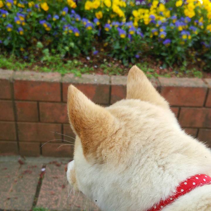 1c12f501 4764 4994 88a7 81ba6a897f17