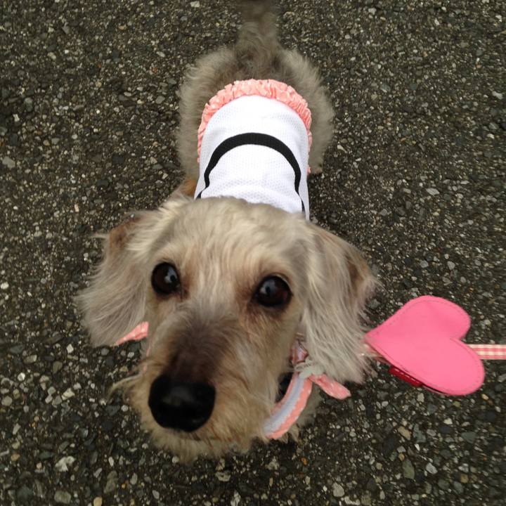 1c13144b 0ecd 43b7 b111 e3cb44c9f129