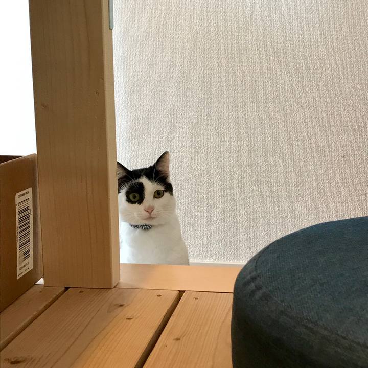 1c1348d0 5f5c 4f37 95bc 0c5f6d7cec3c