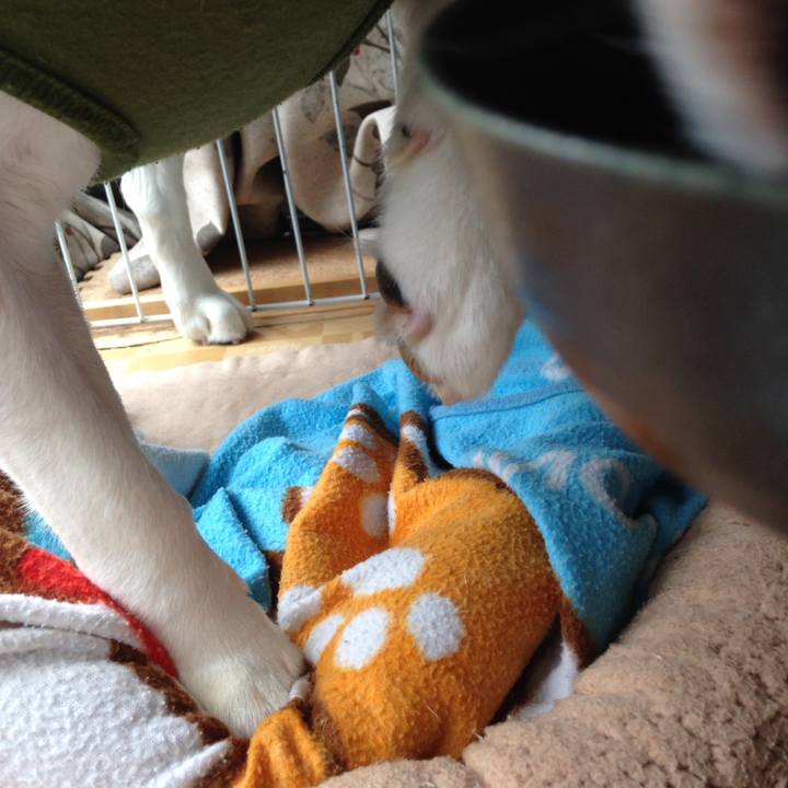 1c144ac7 3fa3 45eb 9ecb aaa7cd52325c