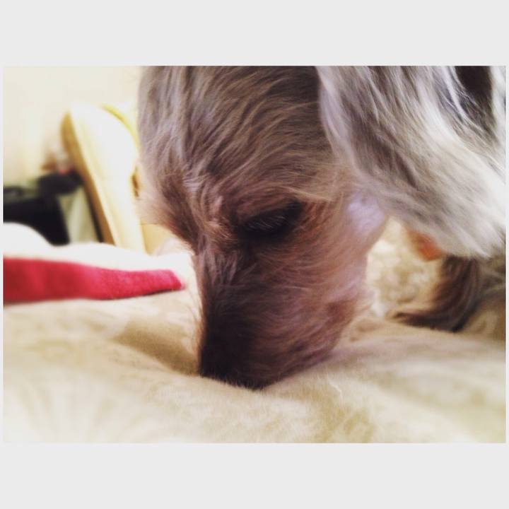 1c14d90a fbcb 40fa 90b1 8b082457b7f4