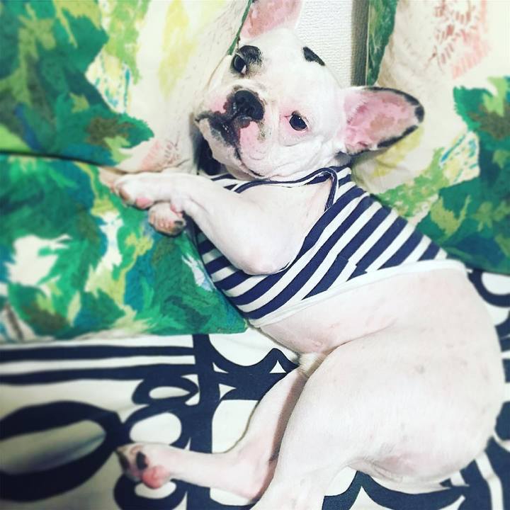 1c15db71 9ff4 4ca4 b888 377504e31813