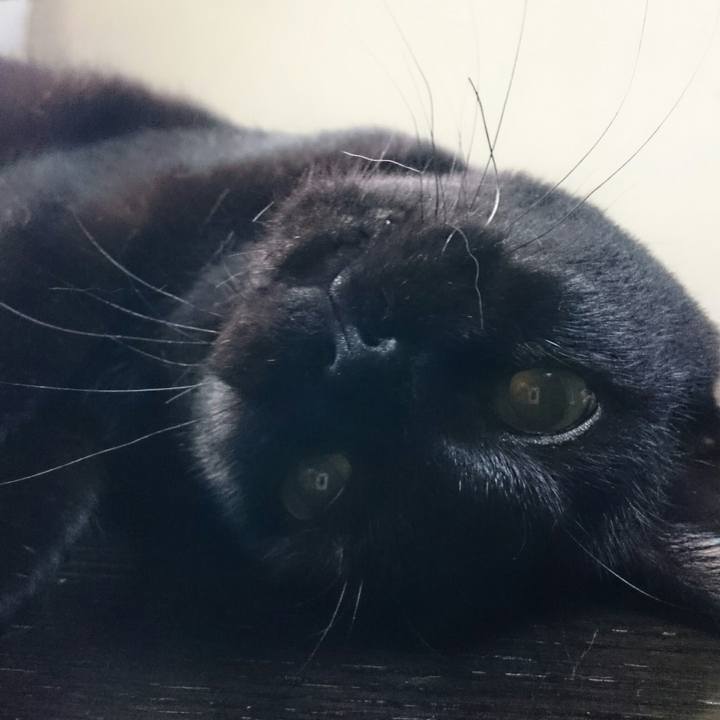 1c164ff1 c9d5 464a a5d4 63608785c087