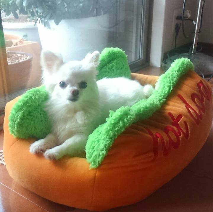 1c165beb 1c94 419f b233 1e9f41004fc4