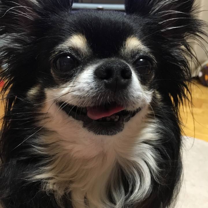 1c16f68e 6212 44b8 b4d2 662d445cf0ec