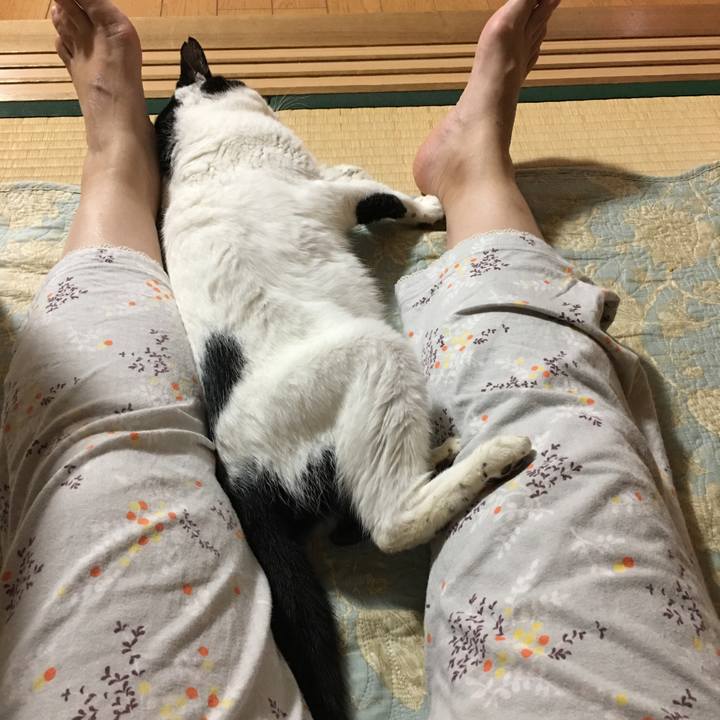 1c180824 24e7 4da9 896e 293c58c40347