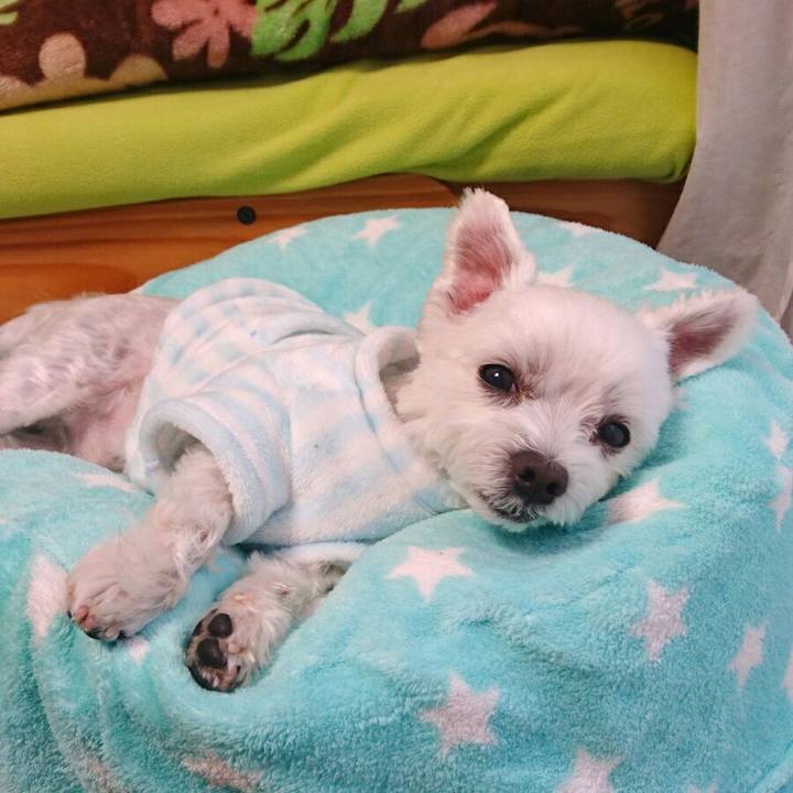 1c1814f6 d340 4b06 9d79 cea2c51ca751