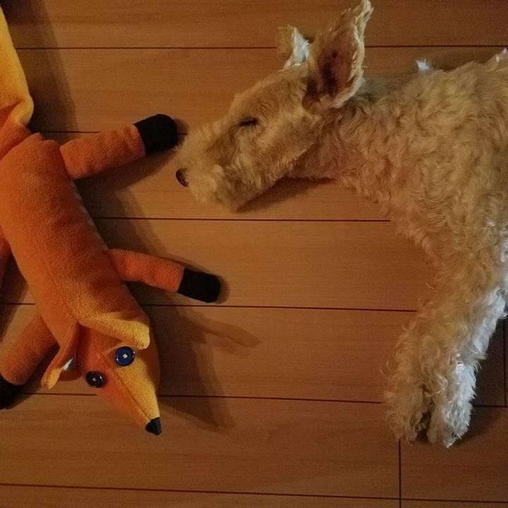 1c18402c 3fd2 4597 917f 54f28998837a