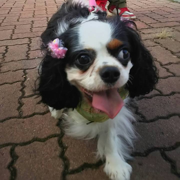 1c1844ed 087b 4f6c 91e7 cd110b8bc42f