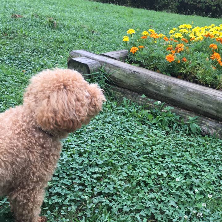 1c189e87 6f42 4cdd b77d 88cdb85e84e0