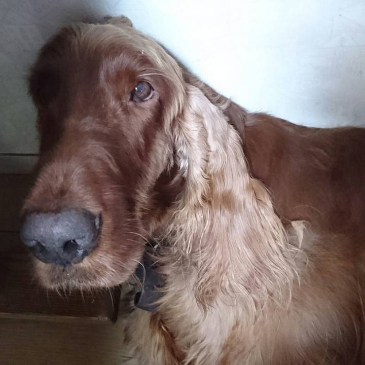 1c192999 42d4 4b50 a8d2 d3031240bcf6