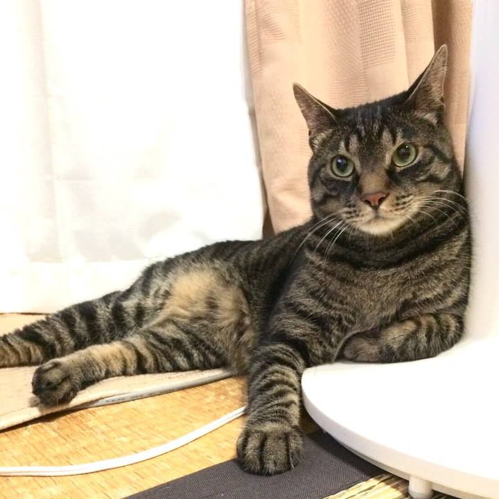 1c19f4df 5c78 4acb 8aa0 fb09651e1a0c