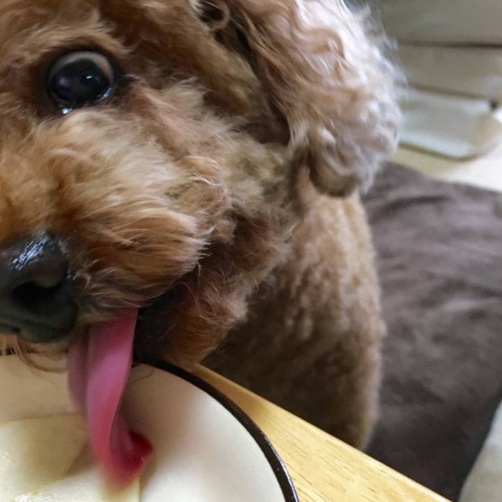 1c1a0a1b ce6d 442d a32f 187748ffa78f