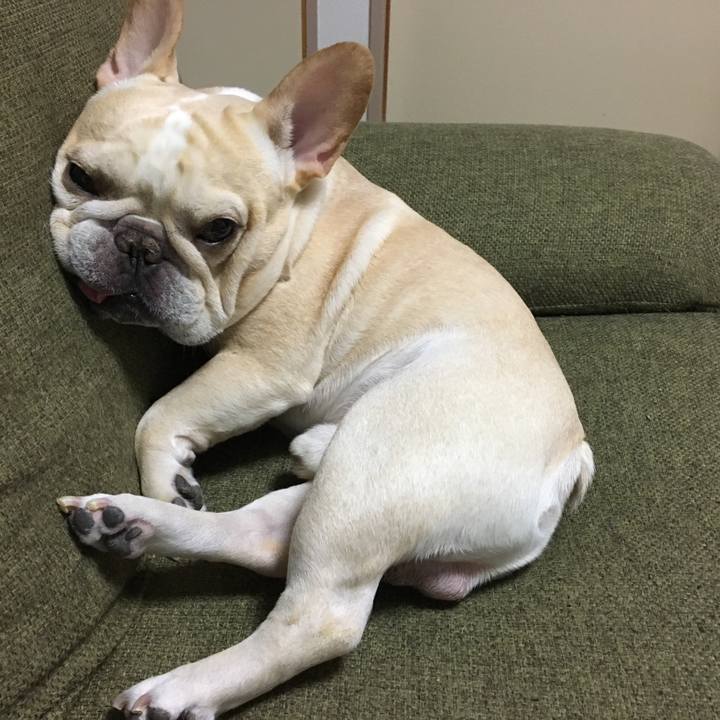 1c1a33c5 8a2a 4713 800b 193aa83769d1