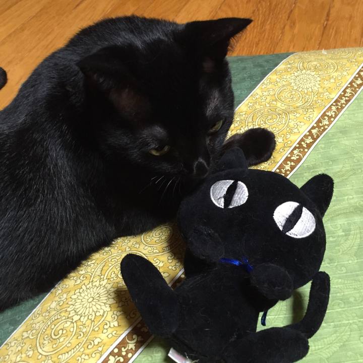 1c1a4d18 35f3 4565 84c8 4492b3ca282c