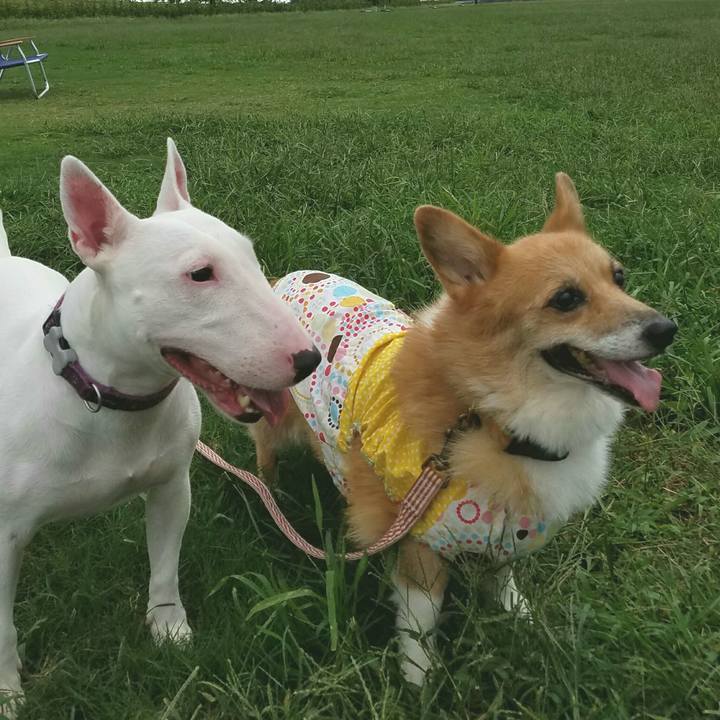 1c1b0f28 e5f1 40b7 8a1a 473f07511b4a